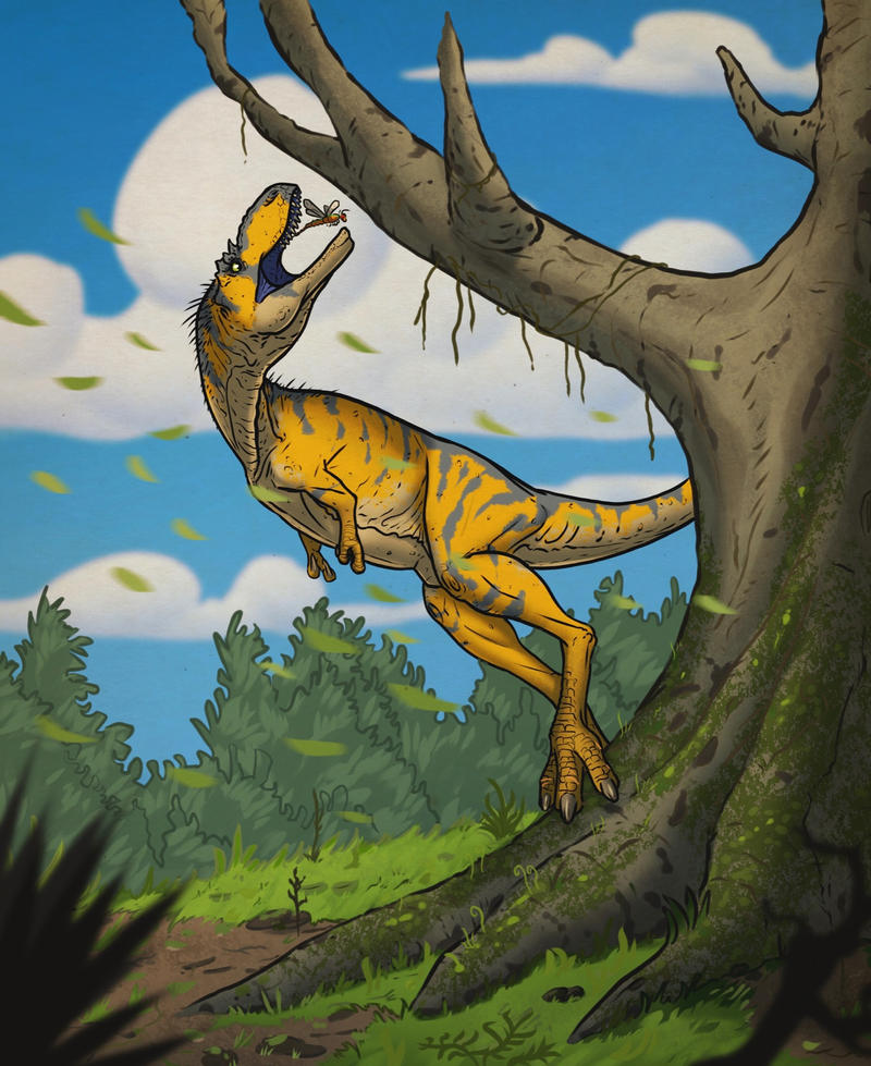 Gorgosaurus by Thek560 on DeviantArt