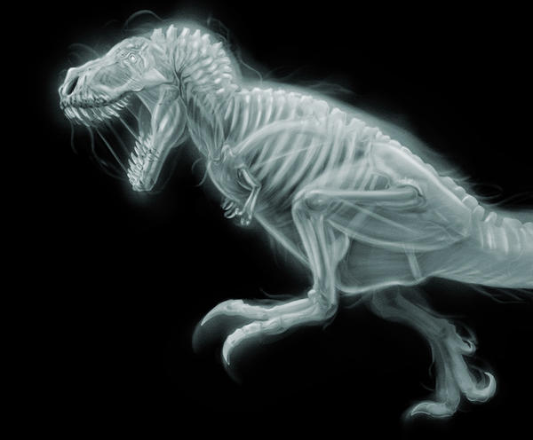 Ghost T. rex by Thek560 on DeviantArt