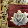 Blue Rose -valentine-
