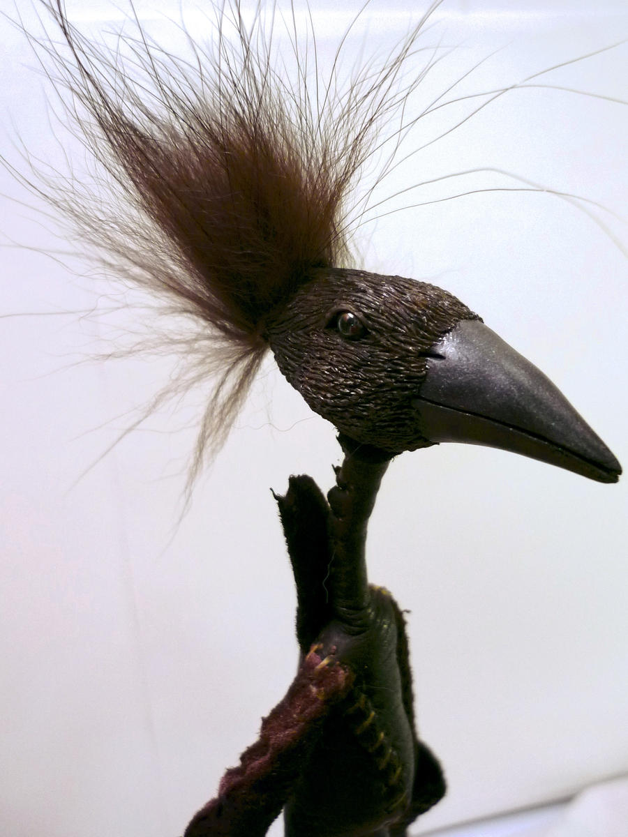 Birdthing - Christopher - 1