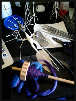 Angelfish #1 and Spinning