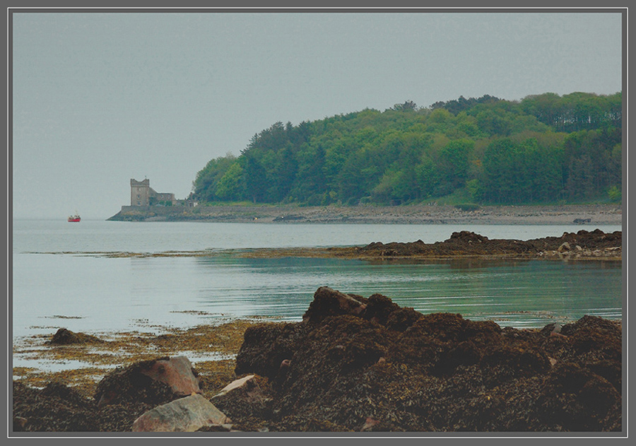 Castle in the Mist