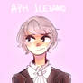 APH Iceland