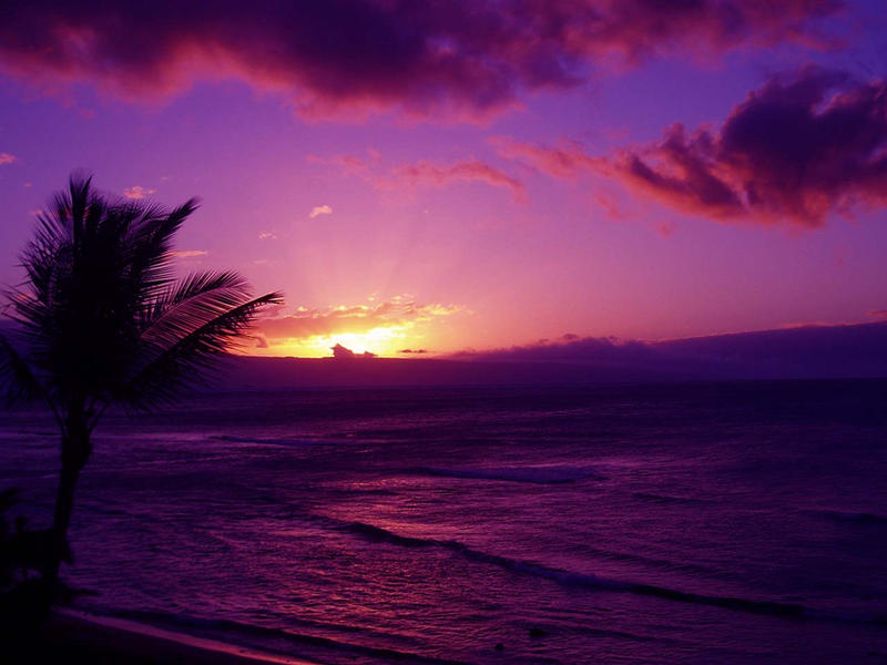 purple sunset in hawaii