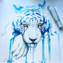 WIP - Blue Tears -