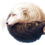 Yin and Yang (+ Youtube Process Video)