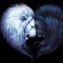Yin and Yang Wallpaper