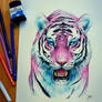 Bubblegum Tiger
