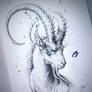 Capricorn