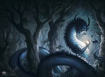 Forest Dragon Book Cover