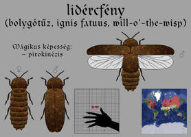 Lidercfeny
