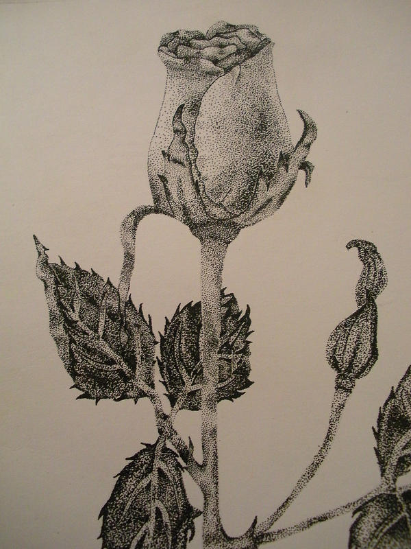 pointillism with pen and ink by art-devi on DeviantArt