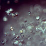 Drops