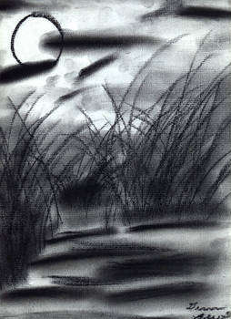 Moonlit sky