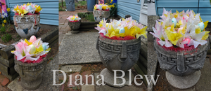Easter Lilies