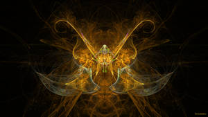 Beetle