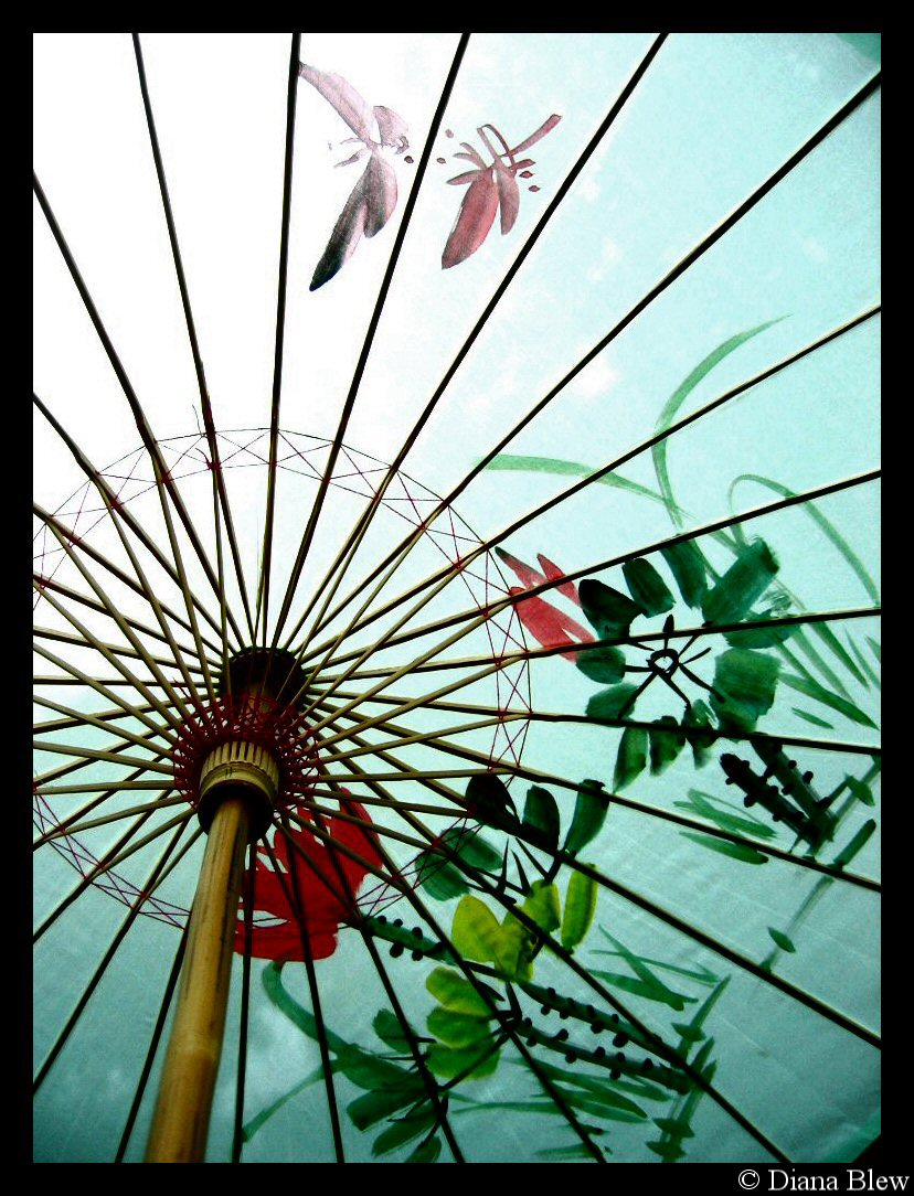 japanese umbrella