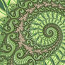 Vine