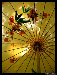 summer japanese umbrella