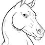 Horse Portrait Lineart.