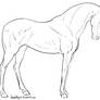 Standing Horse Lineart