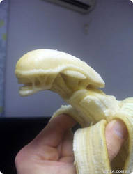 OMG ALIEN BANANA