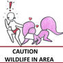 Caution Wildlife in Area