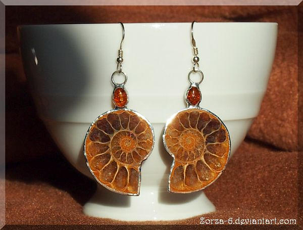 Earrings with Ammonite