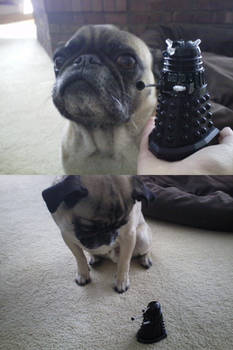 Pooka and Dalek Sec