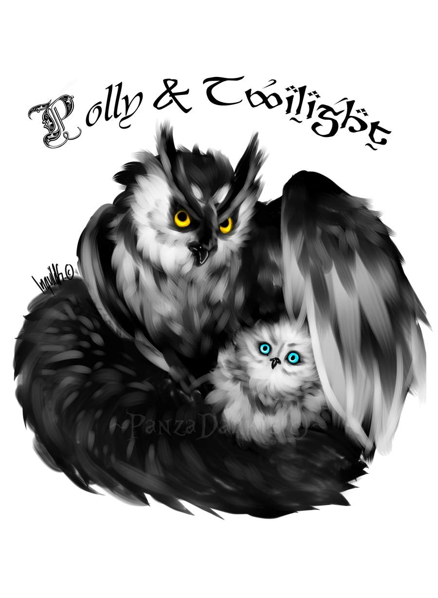 Owl Family