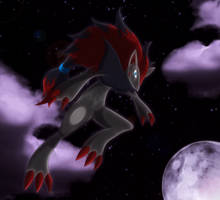 night of Zoroark