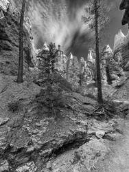 #BryceCanyonNationalPark