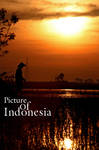 Picture of Indonesia by PictureOfIndonesia