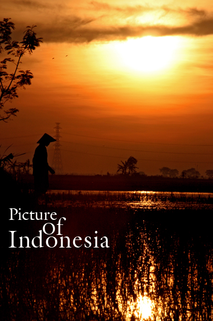 Picture of Indonesia