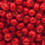 Cherries! - Cinema 4D