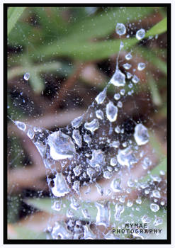 Droplets