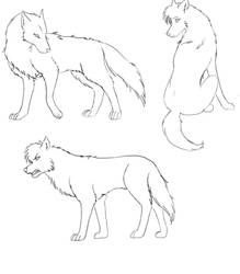 free wolf lineart