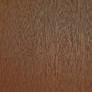 Wood Texture 05