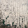 Peeling Paint Texture
