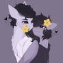 Yellow Flowers Day | Ponysonas