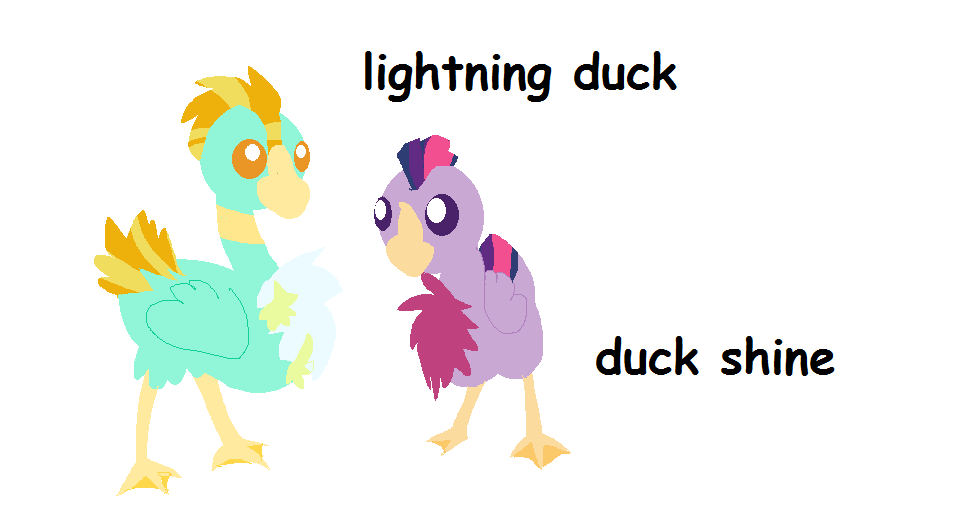 Lightning Duck And Duck Shine