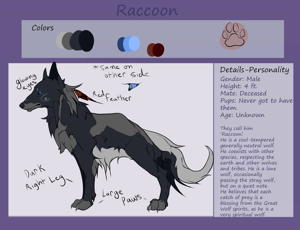 Raccoon-Reference sheet by QuietFox-Arts on DeviantArt