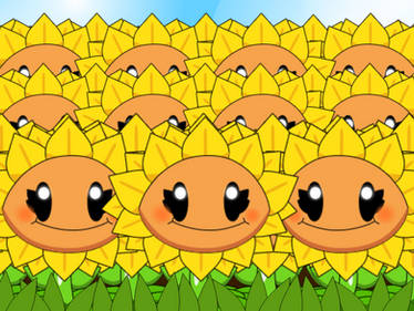 Sunflowers