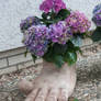 flowerpot foot