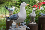 seagull statue