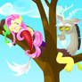 Discord and Fluttershy, Sitting in a Tree