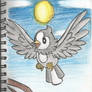 #396. Starly