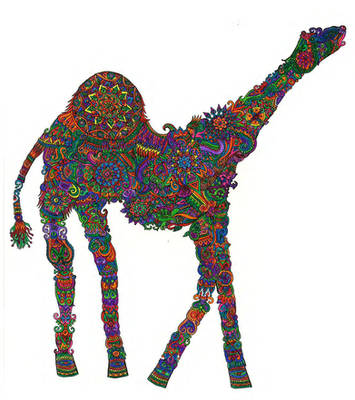 Dromedary Dreams