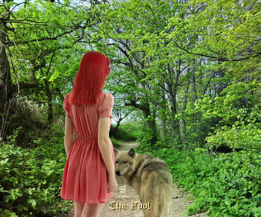 The Fool - Wallpaper by II-S The Fool - Wallpaper by II-S