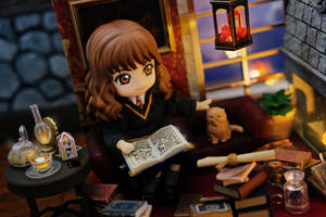 Study ~